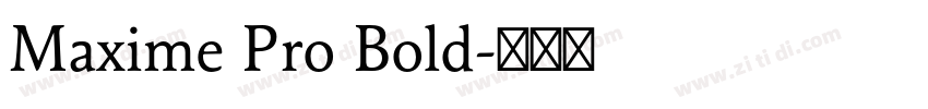 Maxime Pro Bold字体转换